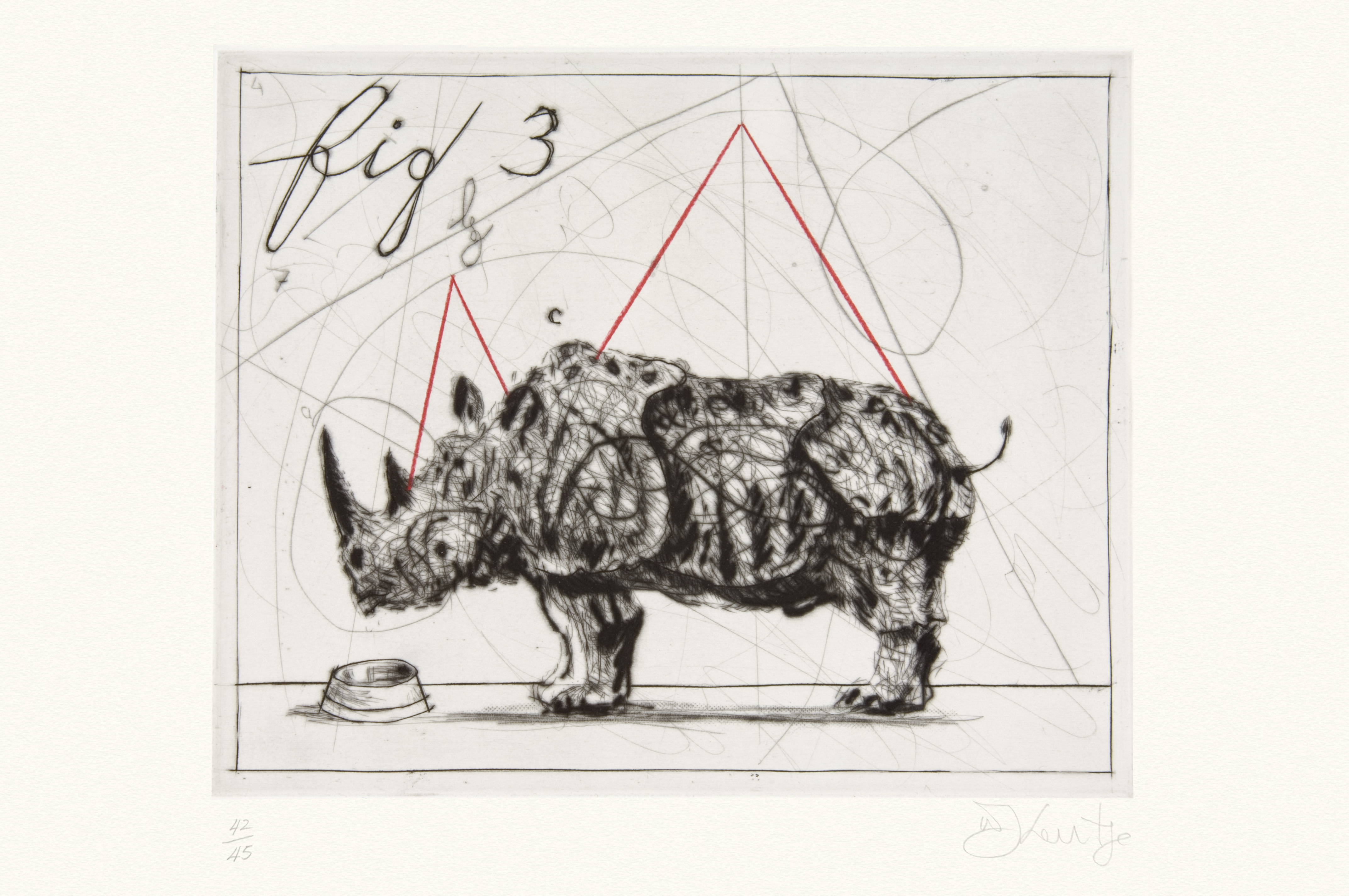 Three Rhinos, Fig. 3